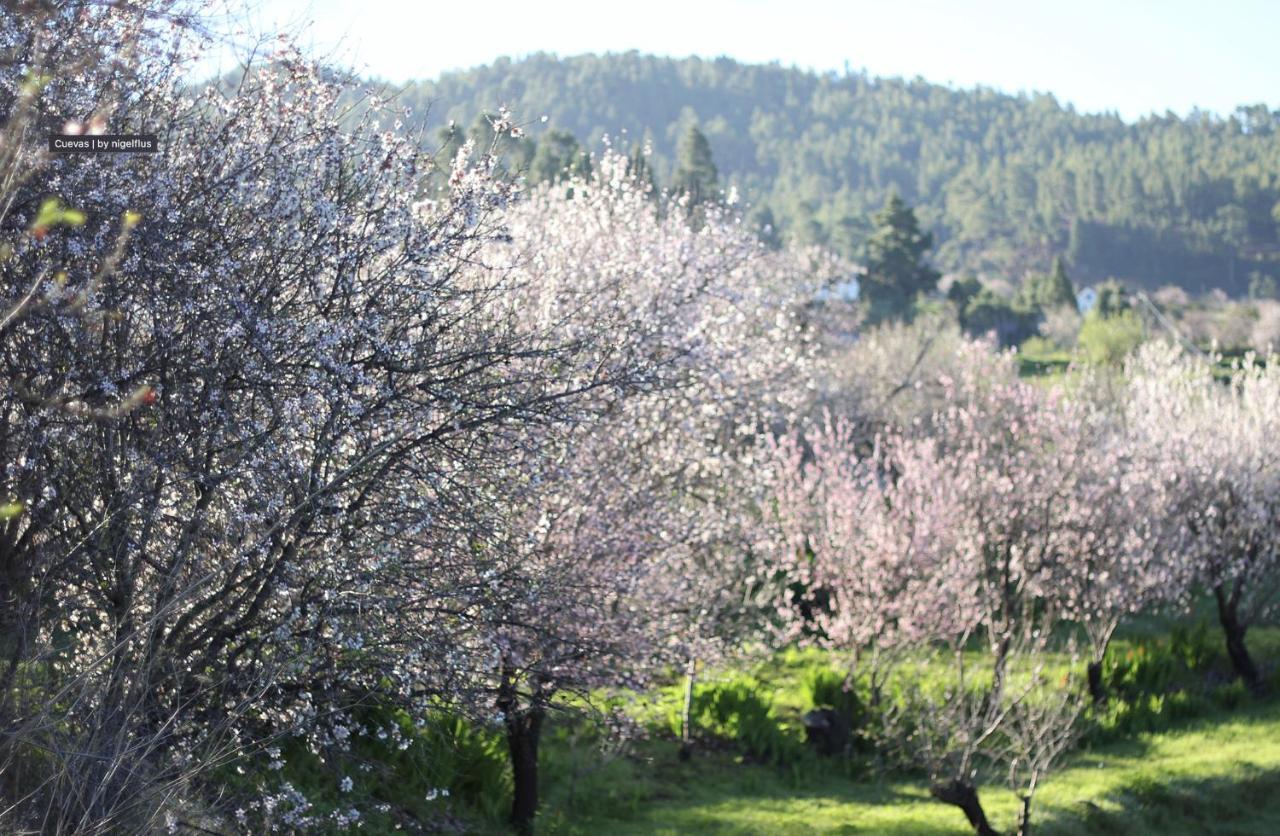 Casa Micaela Villa Garafía Eksteriør bilde